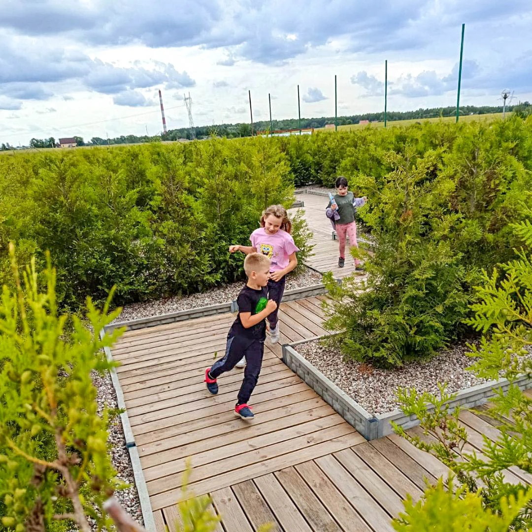 Plenerowe Centrum Rozrywki Labirynt zielony